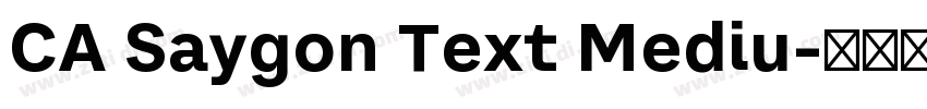 CA Saygon Text Mediu字体转换